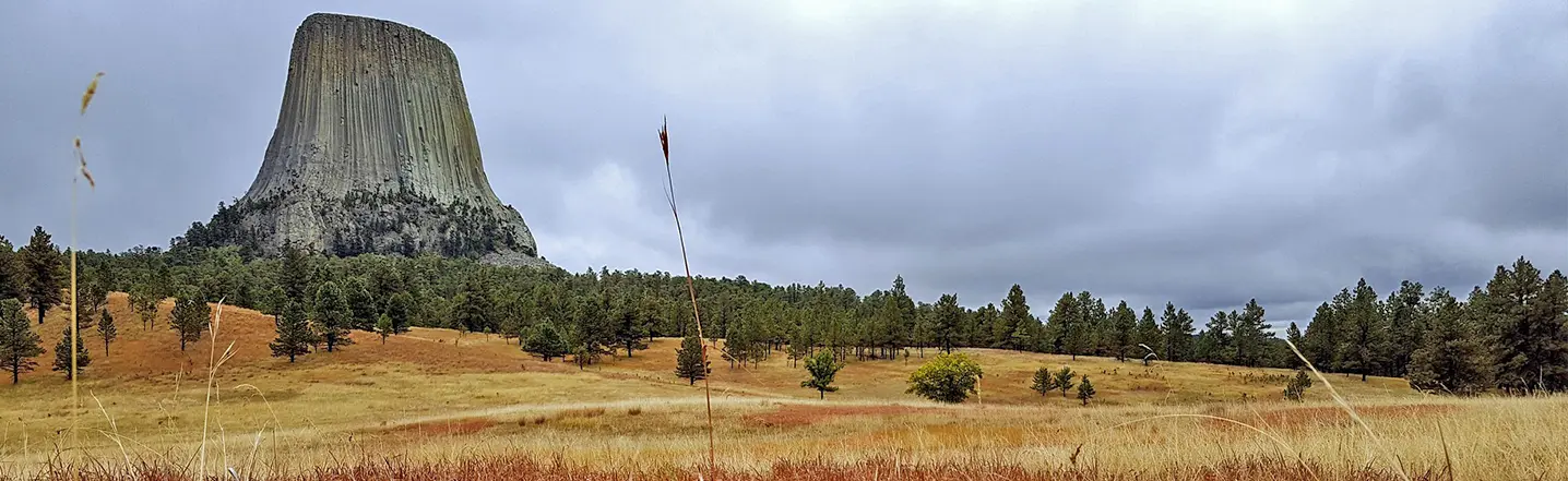 Wyoming Eating Disorder Help